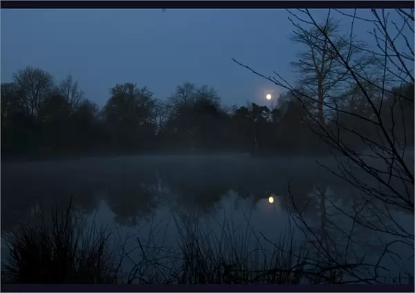 Moonrise over a lake DP041660