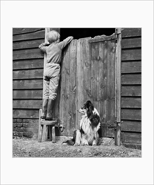 Child and dog a075816