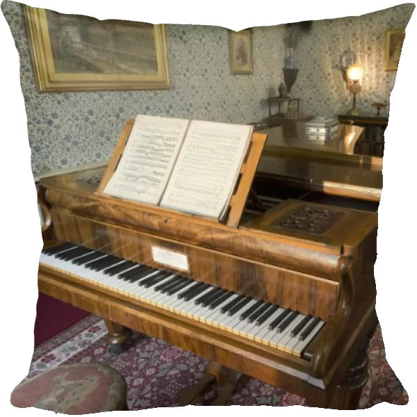 Piano in the Drawing Room at Down House N090132