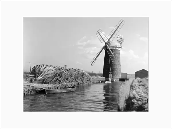 Windmill, Norfolk OP04512