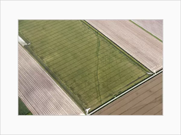 Cropmarks of a trackway 28779_043