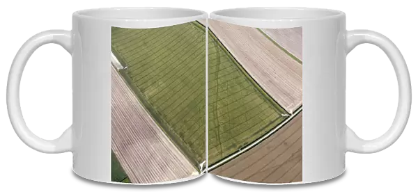 Cropmarks of a trackway 28779_043