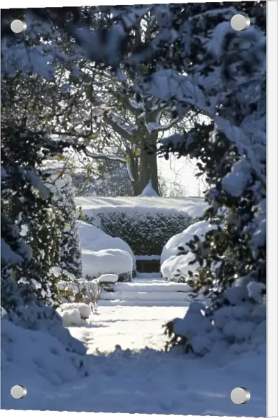 Eltham snowscapes DP073350