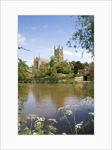 Worcester Cathedral N060747