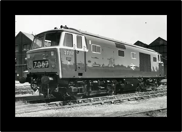 Class 35 Hymek Locomotive No. D7067 with pristine livery in about 1966