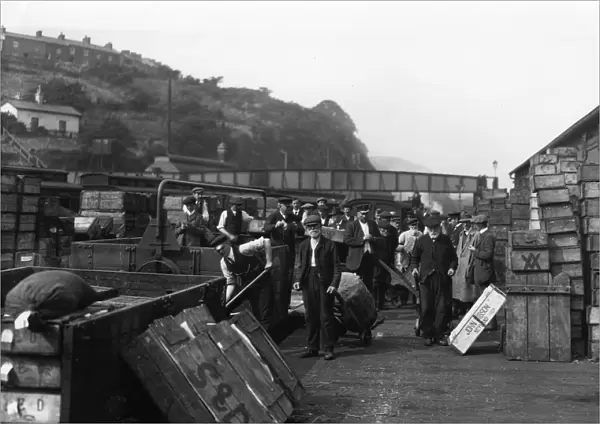 Neyland Fish Platform, Pembrokeshire, c. 1910