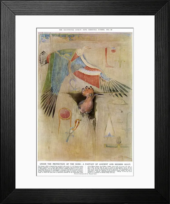 Framed Print : Howard Carter's Under the Protection of the Gods Print, 1951 Framed Print : Howard Carter's Under the Protection of the Gods Print, 1951