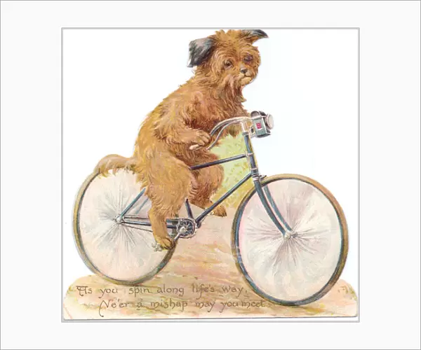 Dog on a bicycle on a cutout greetings card