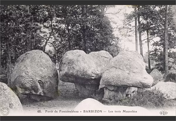 Fontainebleau Forest - Three Mausoleum Boulders