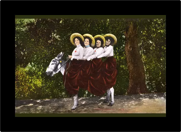 Four Queens on a Jack - Four Women riding a donkey