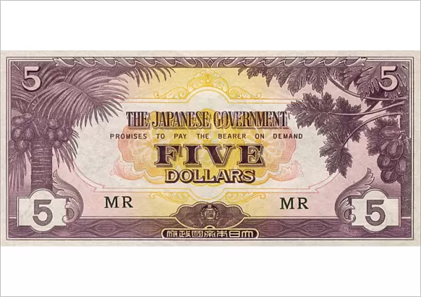 Japanese Five Dollar Banknote - Banana Money