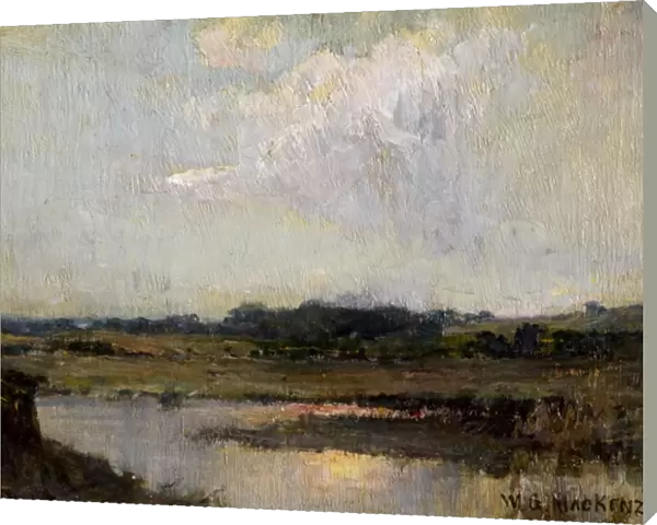 Landscape : River Lagan, near Belfast