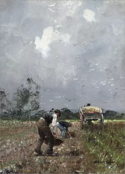 Field Workers