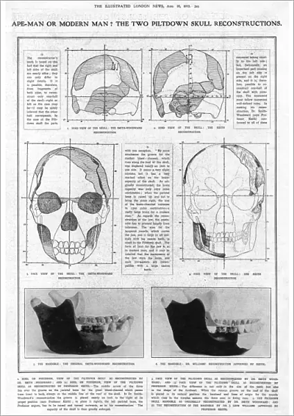 Piltdown Man: mandible and skull compared