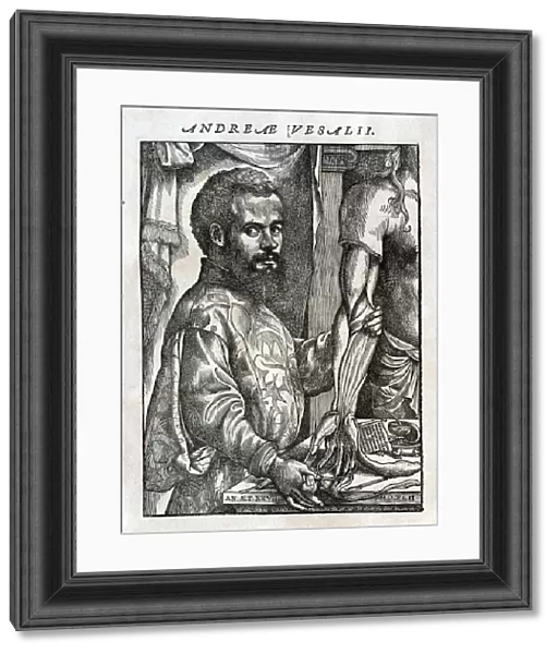 Portrait of Andreas Vesalius