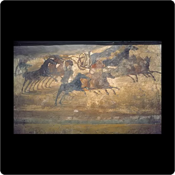 Chariot Race Mural Pompeii