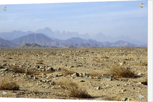 Egypt - typical scene in Arabian desert