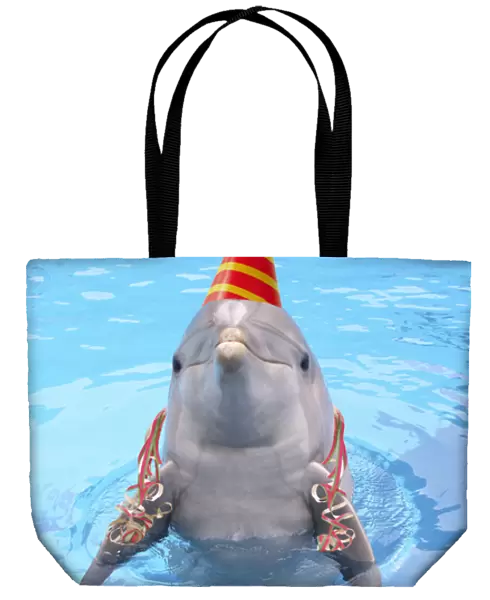 Bottlenose dolphin - with party hat & streamers