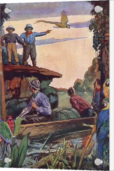 Theodore Roosevelt on the Roosevelt River in Brazil