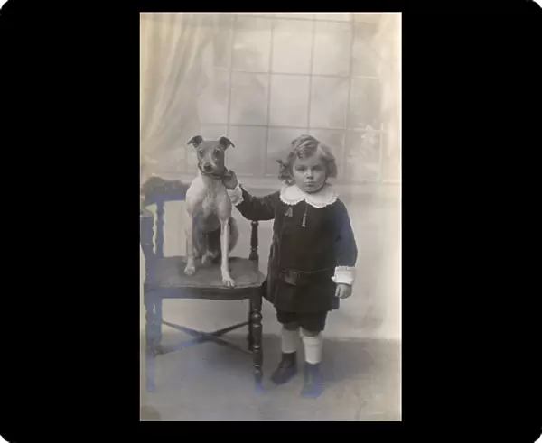 Studio portrait, boy with Jack Russell terrier