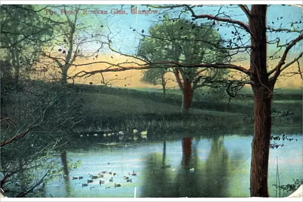 The Pond, Rouken Glen, Lanarkshire