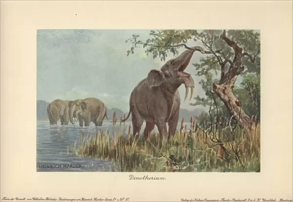 Dinotherium, prehistoric relative to the elephant