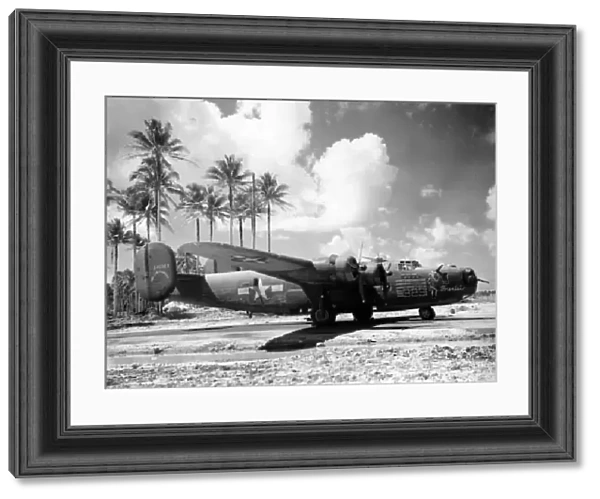 Consolidated B-24D Liberator -shown amid Pacific palms