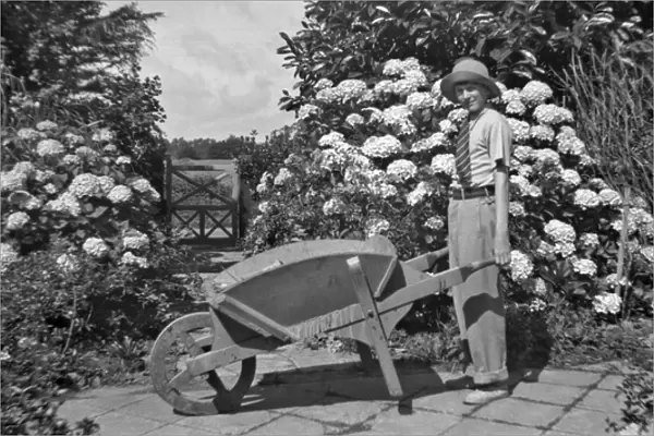 Boy and wheelbarrow in a garden