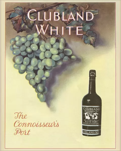 Advertisement, Clubland White port