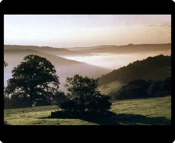 Early morning mist, Tamar Valley, Cornwall