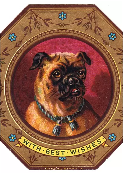 Bulldog on plate design on a greetings card