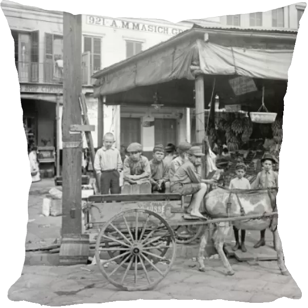 Children sitting on a donkey cart on a corner of the French