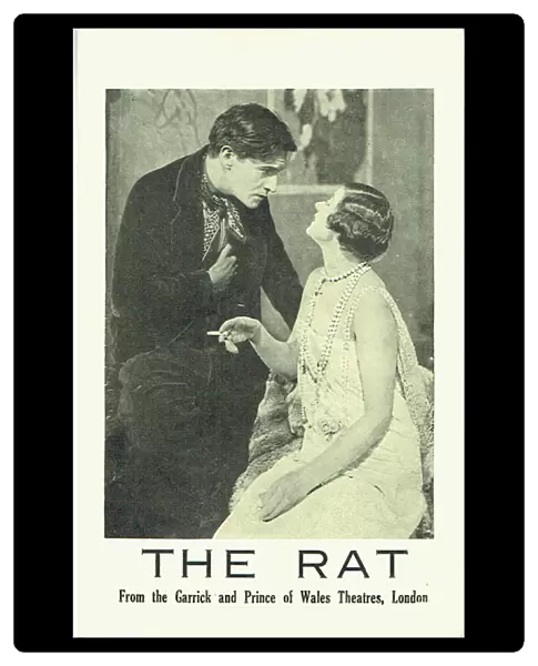The Rat by David L Estrange