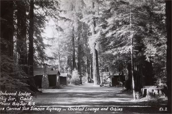 Redwood Lodge, Big Sur, Monterey County, California, USA