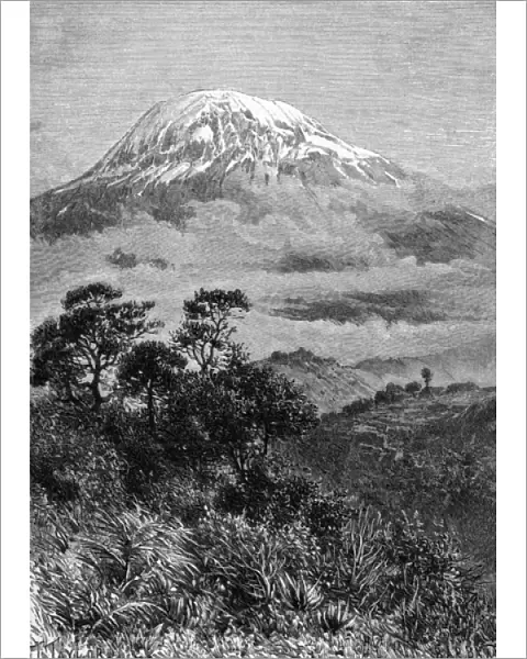 Tanzania  /  Kilimanjaro