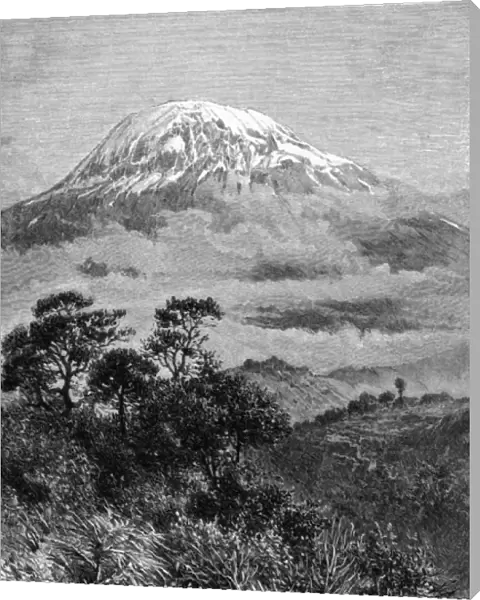 Tanzania  /  Kilimanjaro