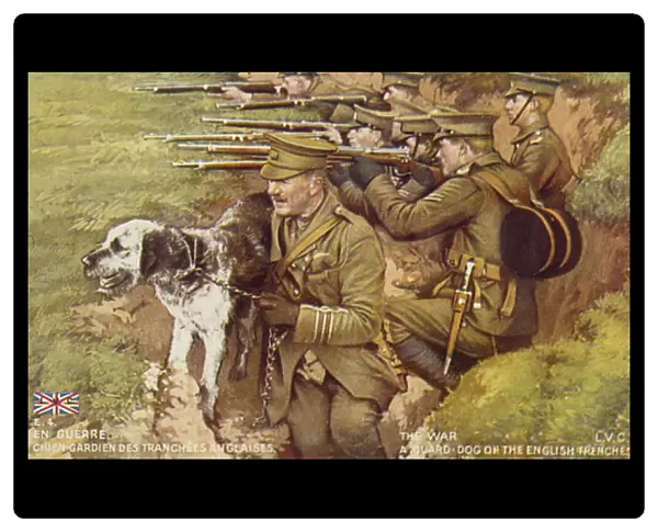 Dog Guards Trenches