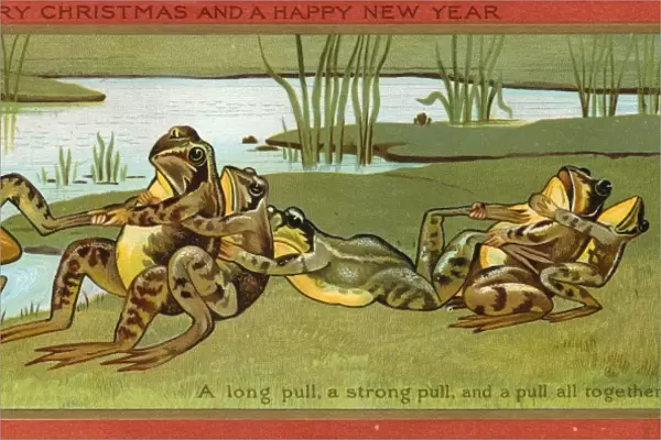 Frog rescue on a Christmas and New Year card