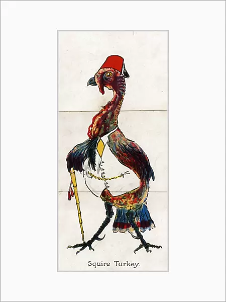 Zoological Misfitz - Squire Turkey
