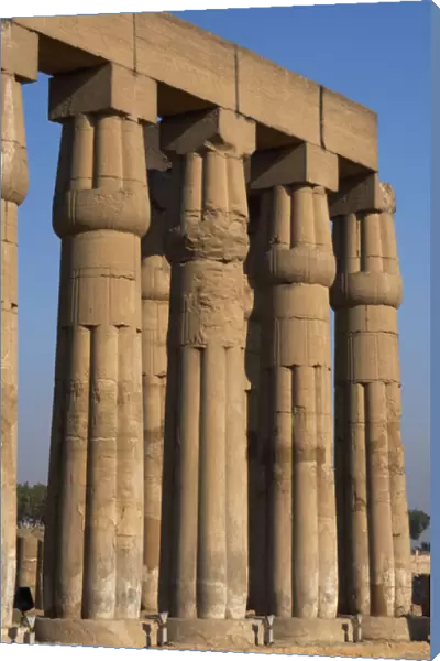 EGYPT. Luxor temple