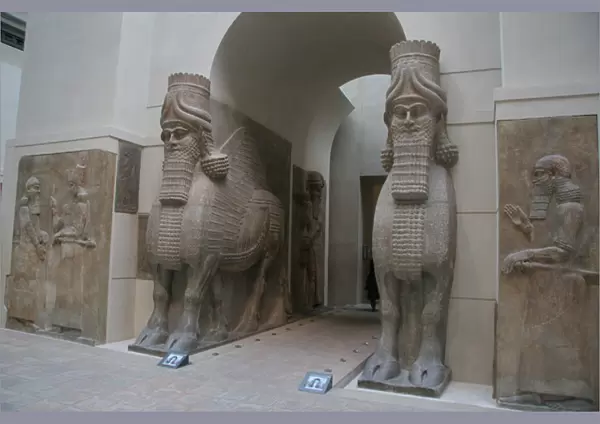 Lamassu or Bull-man. Gate from Sargon IIs Palace. Dur-Sharr