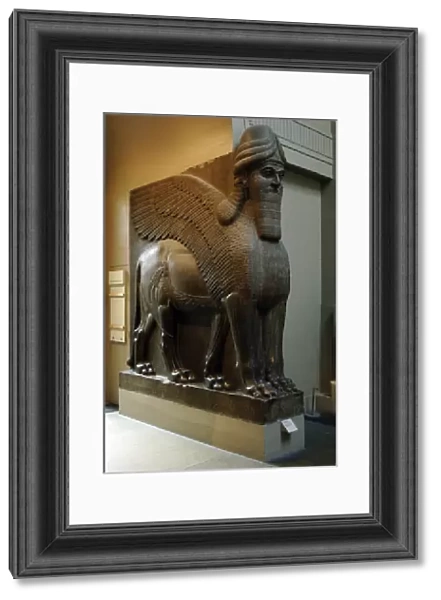 Statue of a winged lion with human head. Nimrud