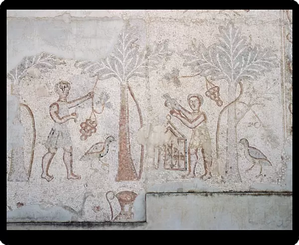 Roman Art. Syria. Farming. Collecting dates. Mosaic. Theatre