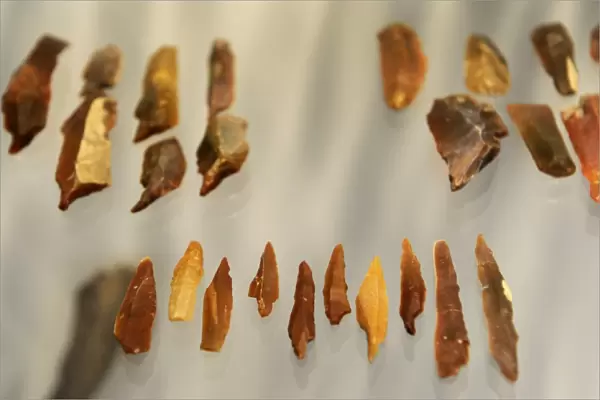 Lithic industry. Tools used by reindeer hunters. Solbjerg, L