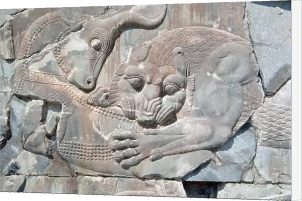 Persian art. Persepolis. Apadana. Palace of Darius I. Lion a