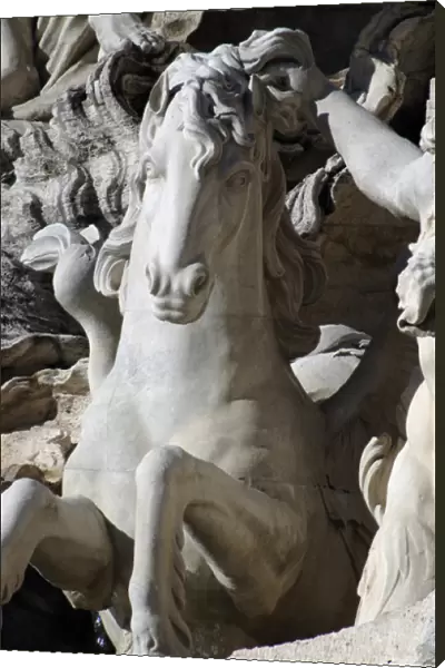 Italy. Rome. Fontana di Trevi. 18th century. Sea horse