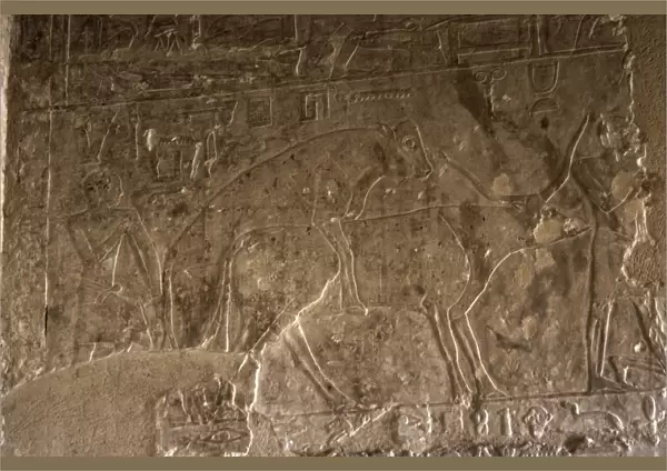 Egyptian Art. Necropolis of Saqqara. Mastaba. Relief. Copula