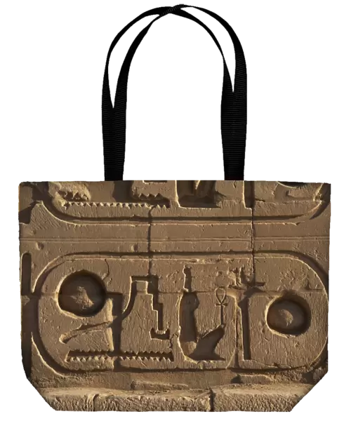 Egyptian Art. Royal protocol of Ramesses II. Cartridge