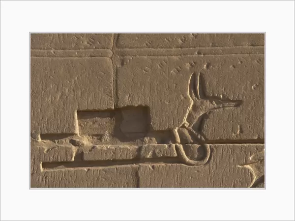 Egyptian Art. Karnak. Relief with a jackal