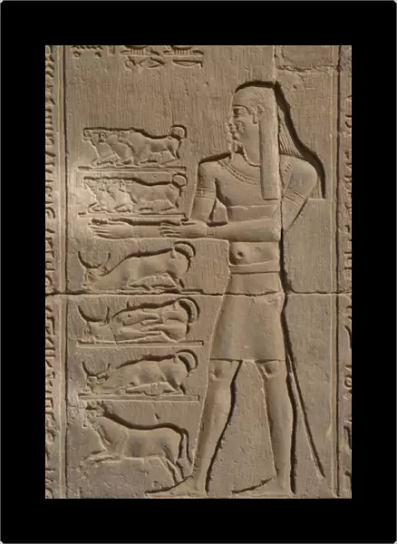 Egyptian Art. Temple of Kom Ombo. Offerer. Relief